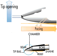 The parts of the clarinet mouthpiece